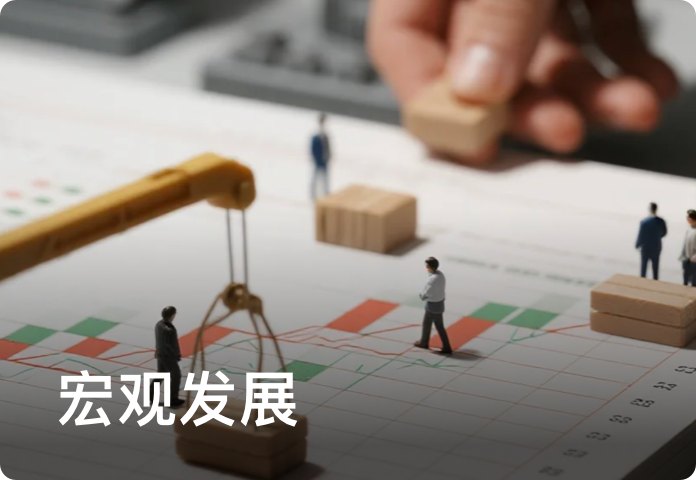 宏观发展